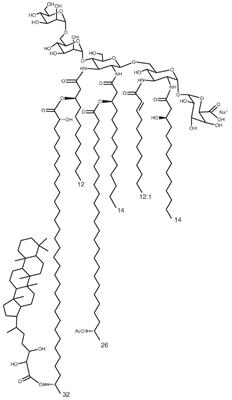 The Very Long Chain Fatty Acid (C26:25OH) Linked to the Lipid A Is Important for the Fitness of the Photosynthetic Bradyrhizobium Strain ORS278 and the Establishment of a Successful Symbiosis with Aeschynomene Legumes